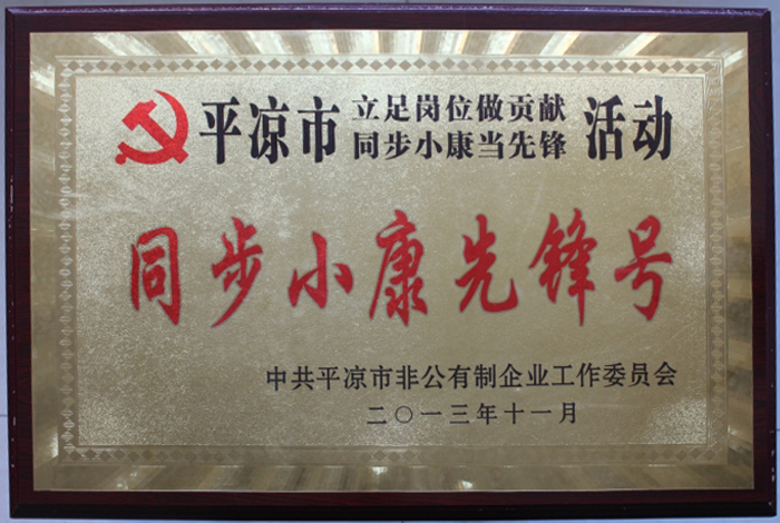 同步小康先锋号